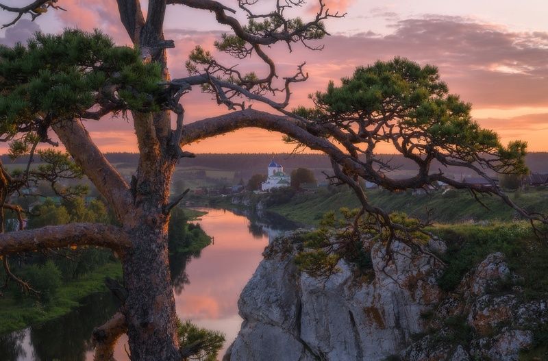 Сквозь ветви уральского бонсая фото превью
