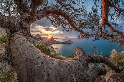 Окно в Новый Свет