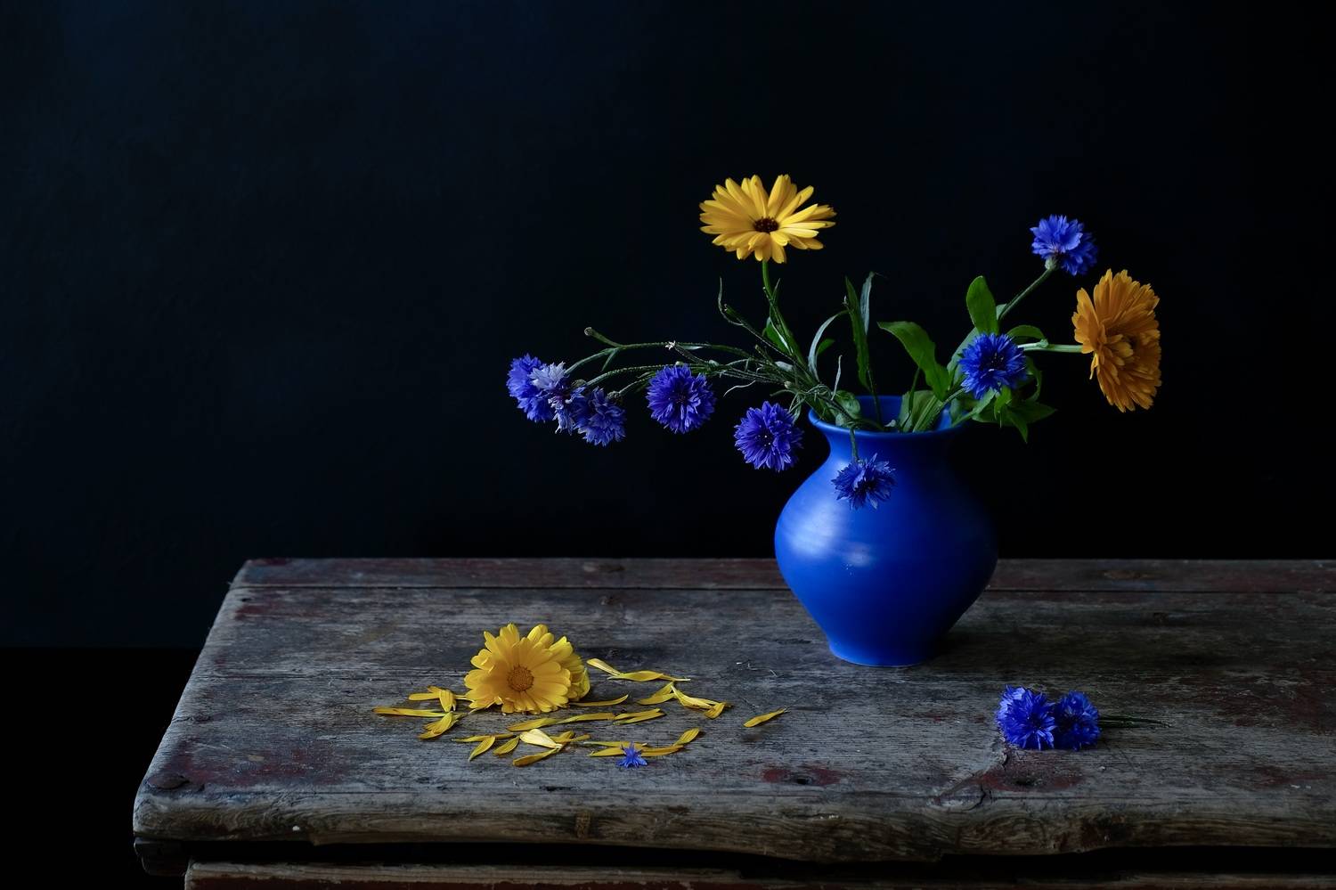 Still life, Flowers, Colors, Blue, Yellow, Mood, , Povarova Ree Svetlana