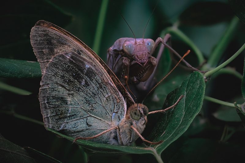 Сансара фото превью