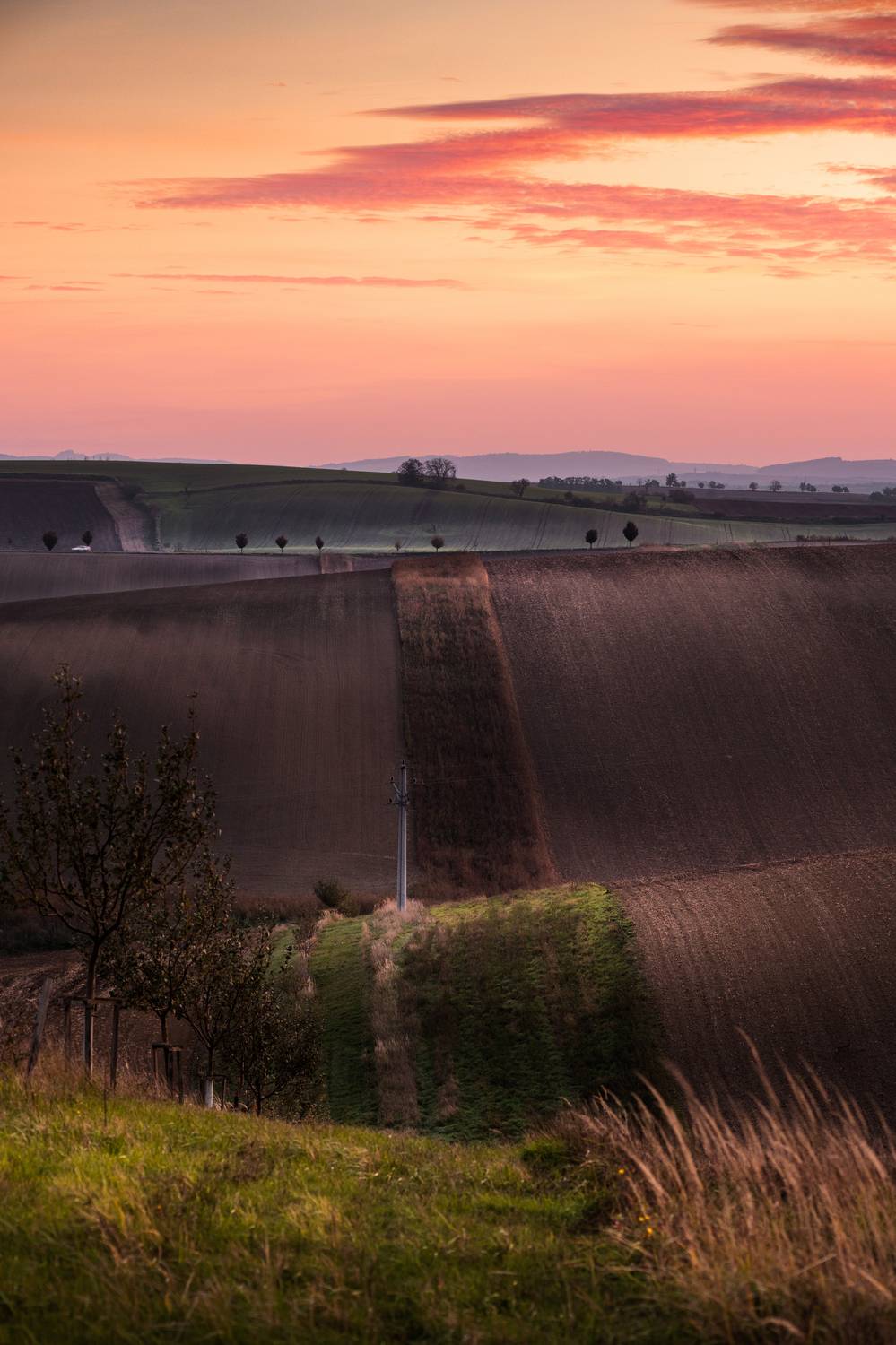 , Георгий Бычковский