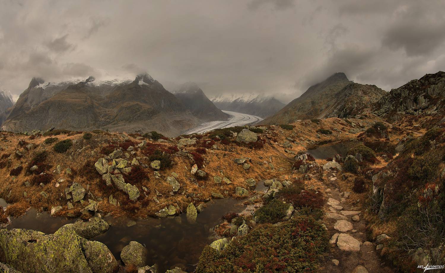 swiss, Матвеев Николай