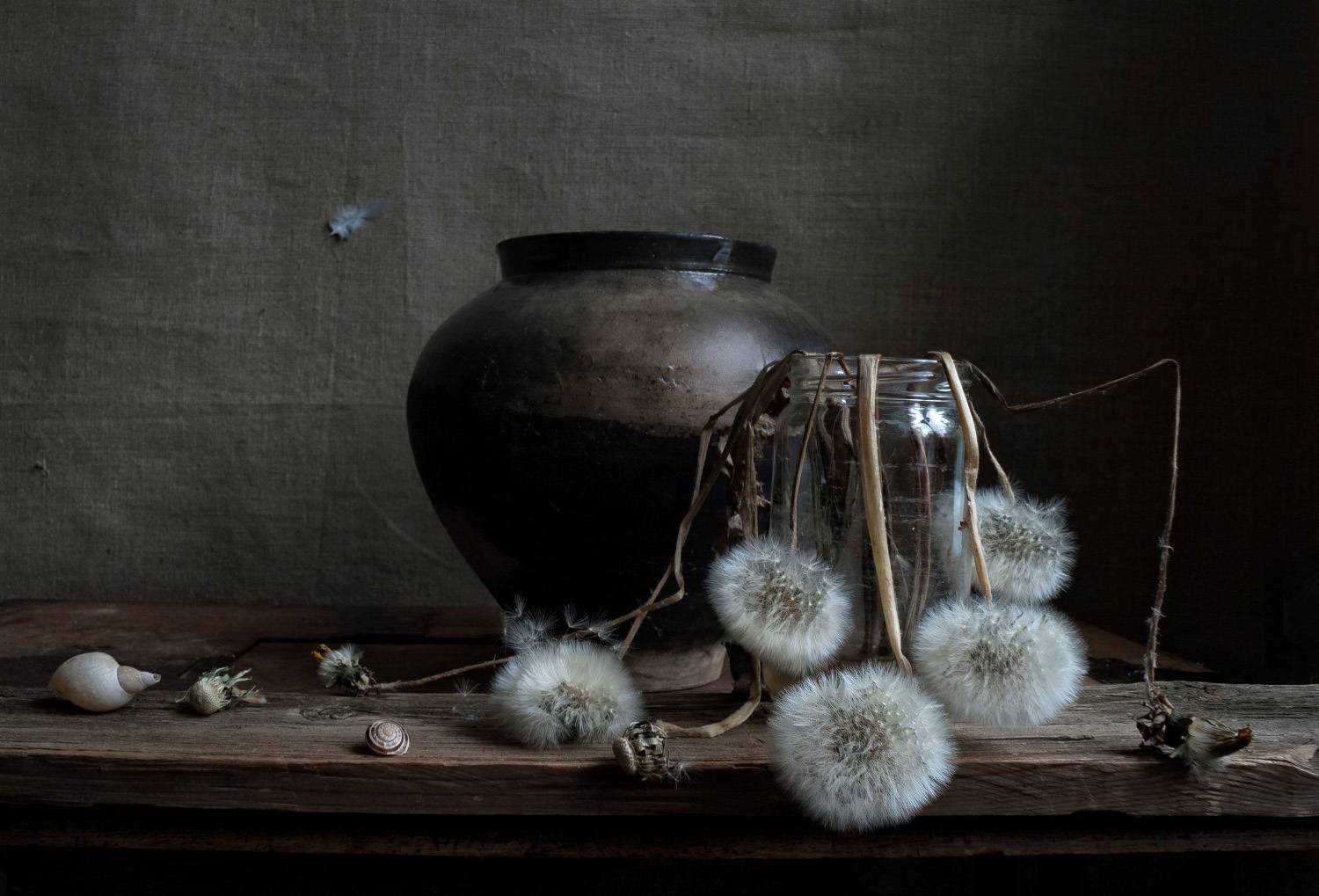 , Елена Колеснева