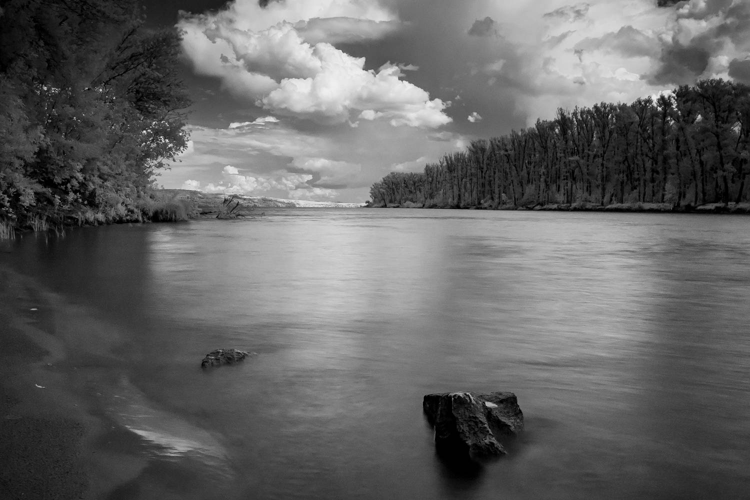 волга, острова, простор, пейзаж, ч/б, перегаров остров, вольск, Подосинников Максим
