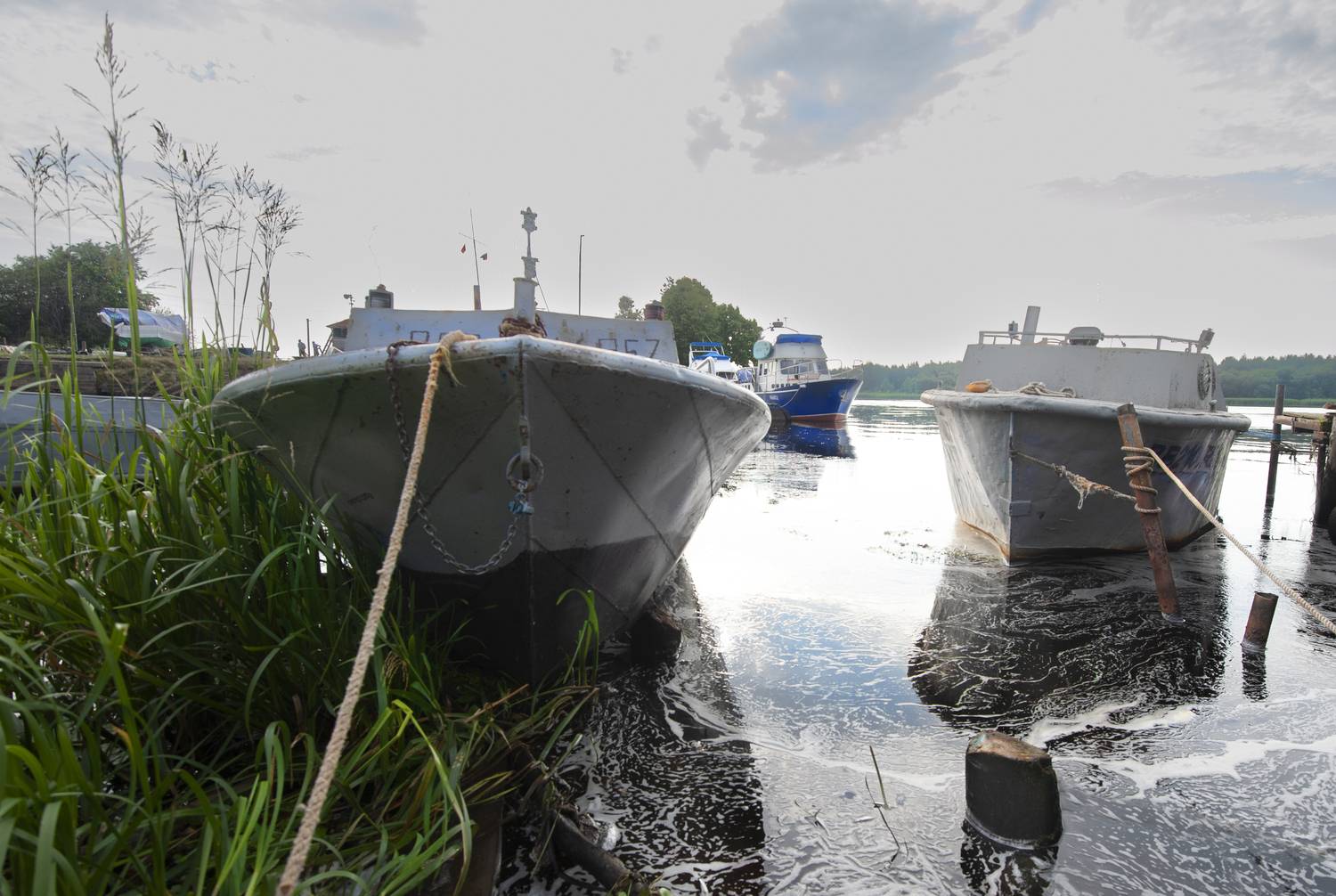 , Георгий Сапожников
