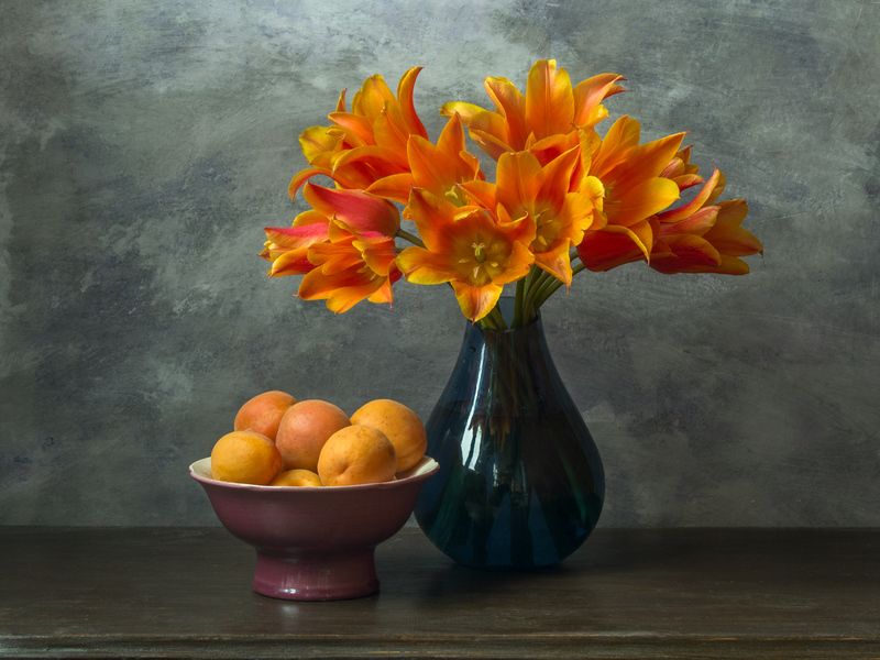 Тюльпаны и абрикосы. фото превью