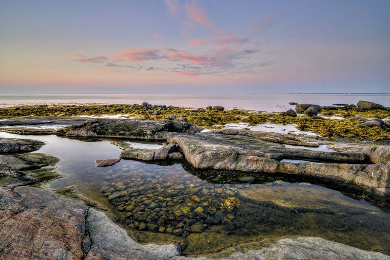 отлив водоросли утро рассвет скала камни отражение Ещё раз о Белом море фото превью