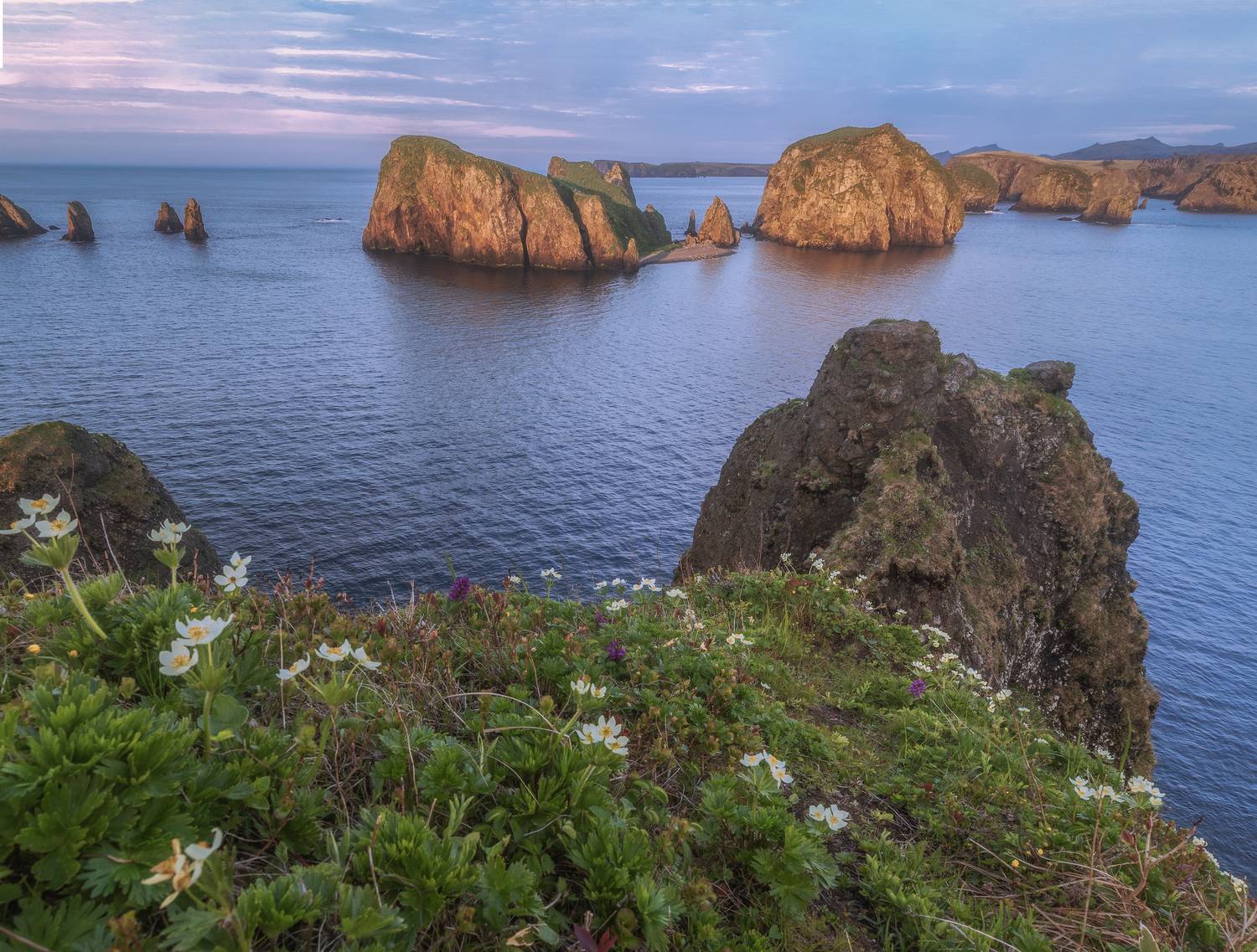 шикотан, Гусева Елена