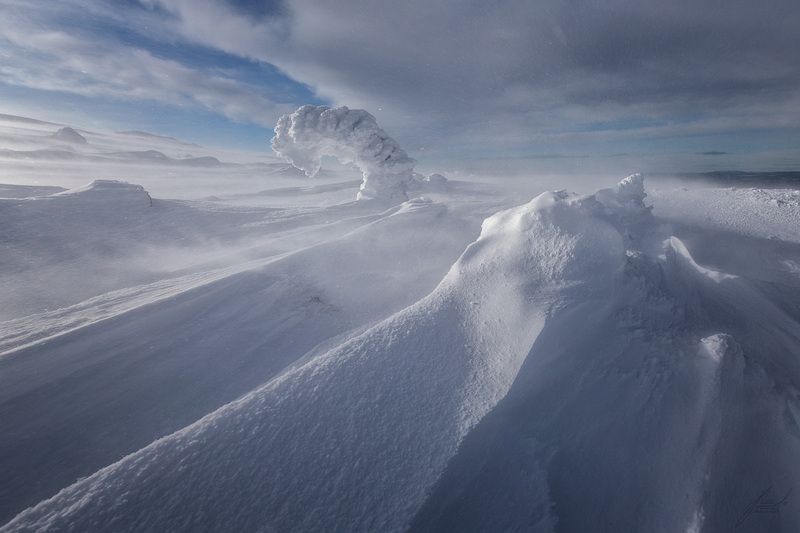 *** фото превью