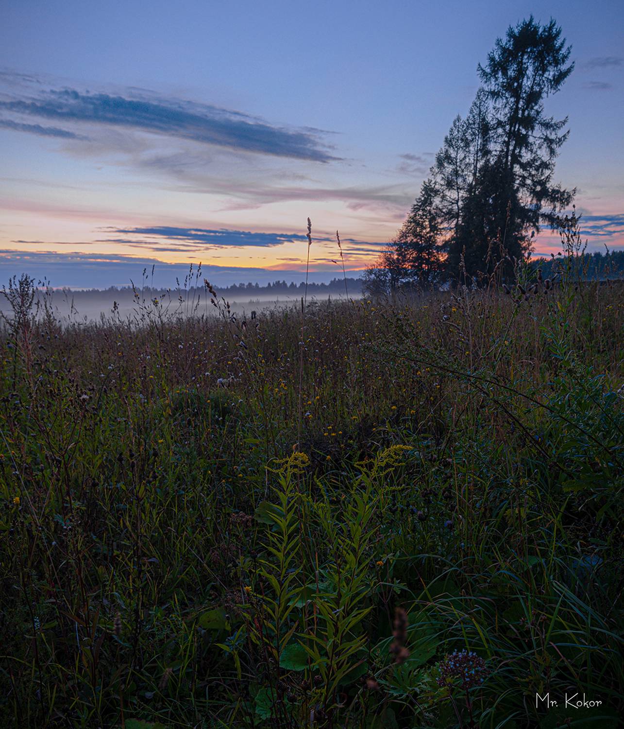 , Кокорин Алексей