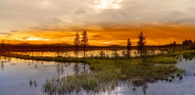 После дождя. фото превью
