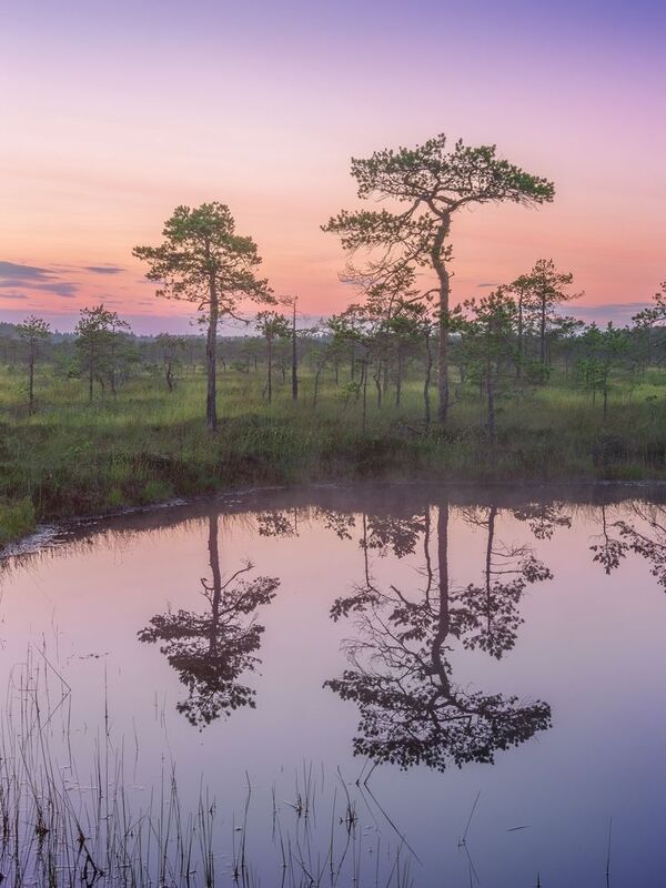 Вечернее умиротворение  фото превью