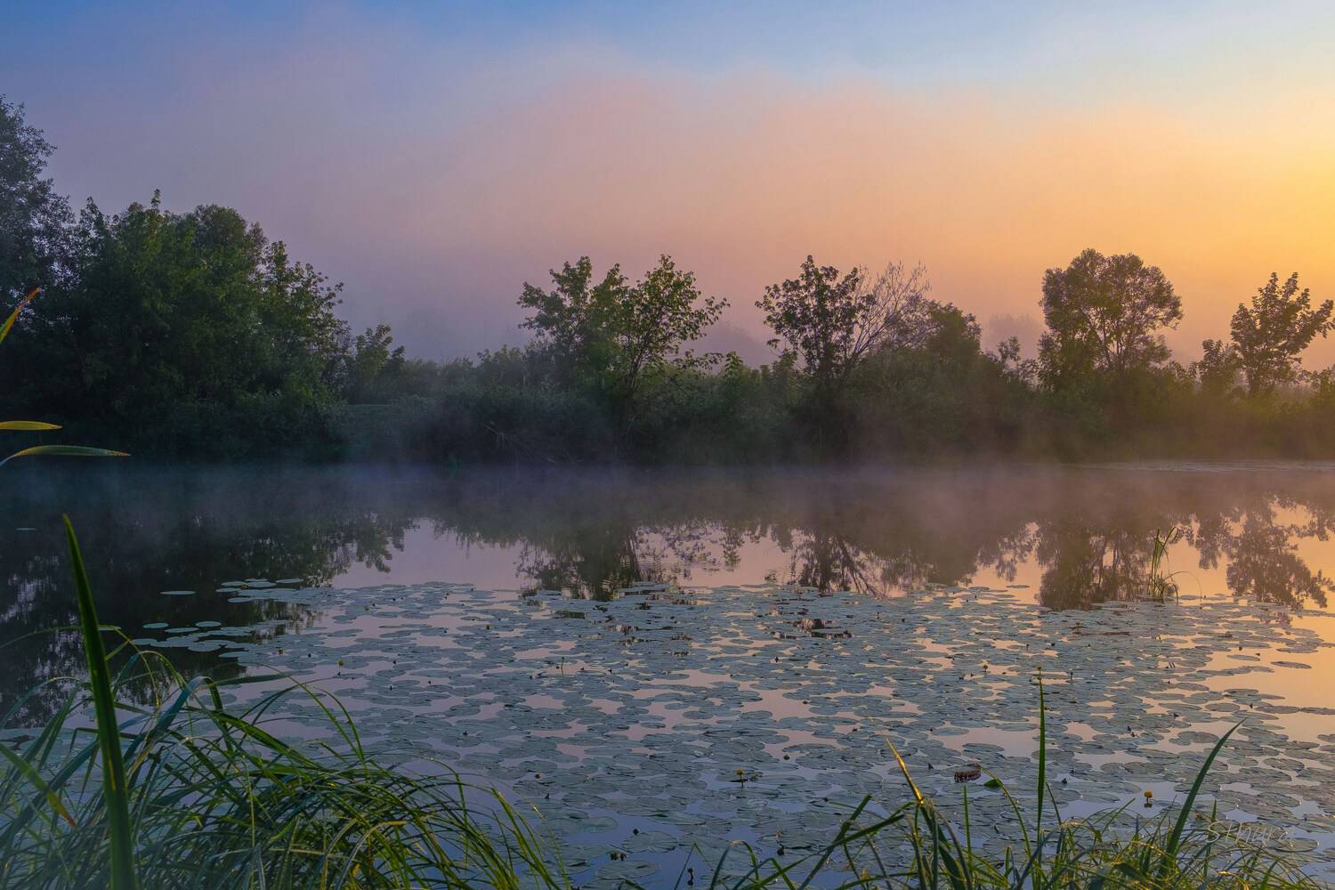 лето озеро рассвет туман природа пейзаж, Александр Строков