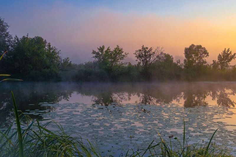 Тихое утро. фото превью