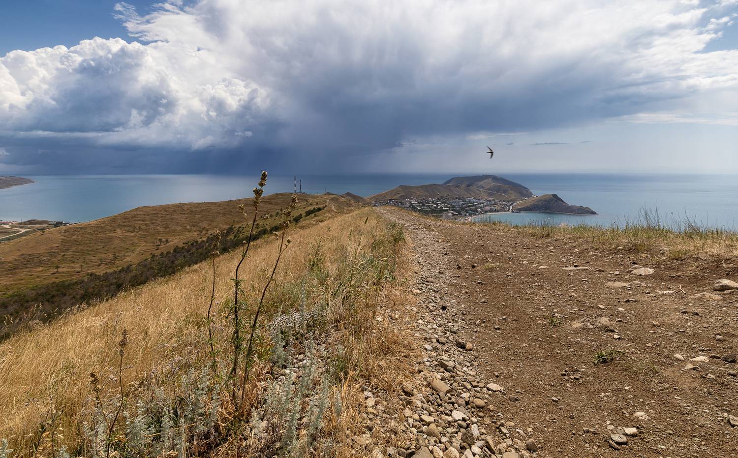 крым, море, черное, Татьяна Феденкова