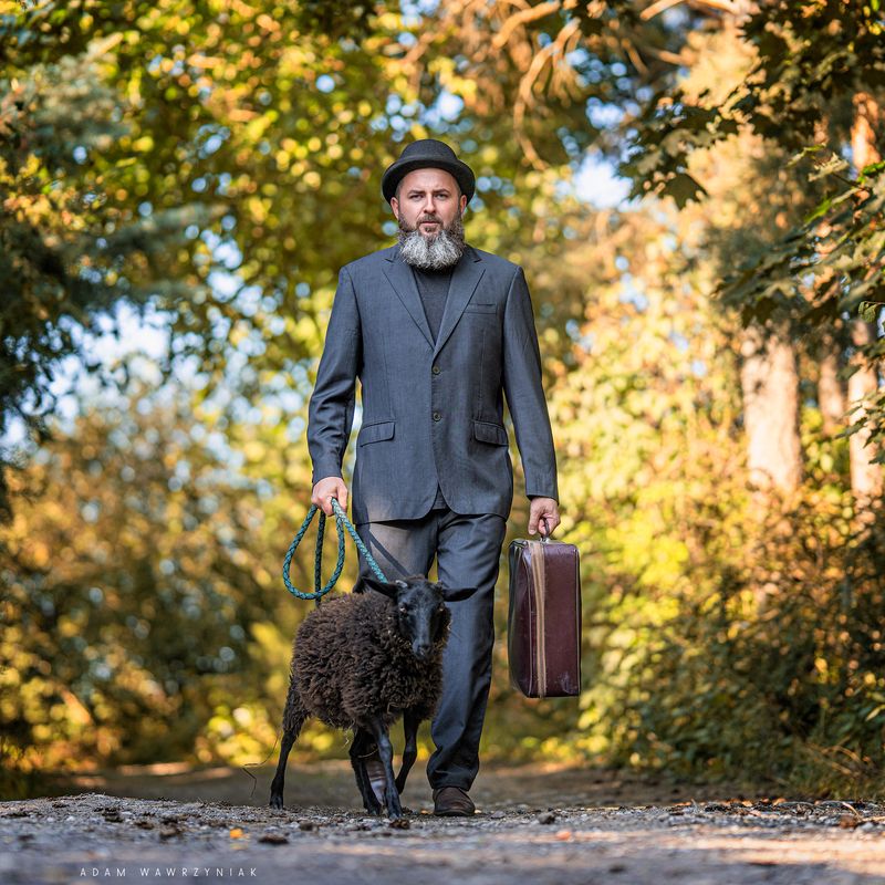 фото превью