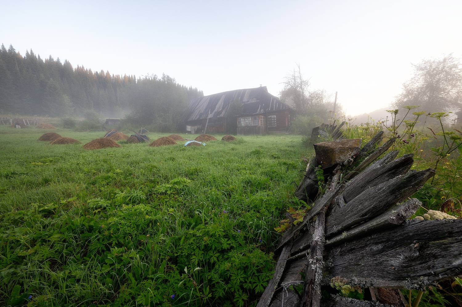 пермский край, пейзаж, рассвет, красота природы, поле, лето, река, природа, дикая природа, койва, лес, усть-койва, Кузнецов Кирилл