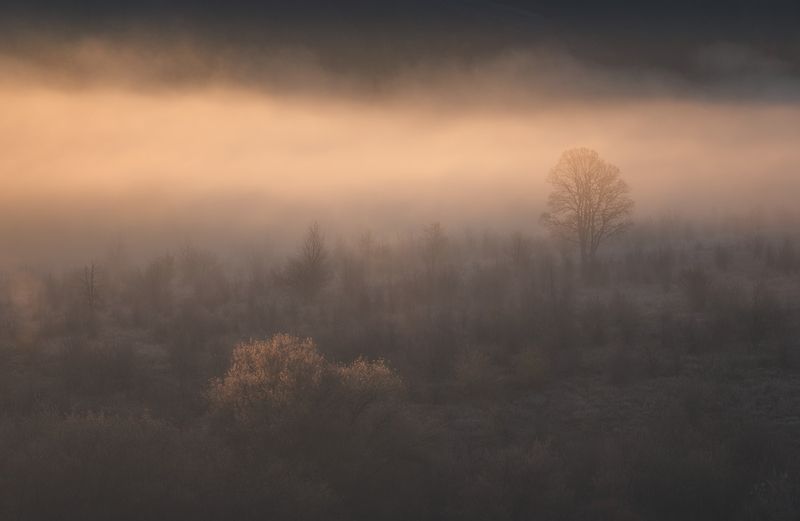 красивая меча, тульская область Урочище Ведьмино фото превью