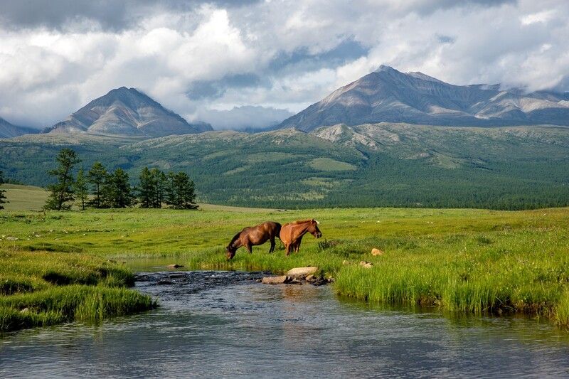 Двое друзей фото превью