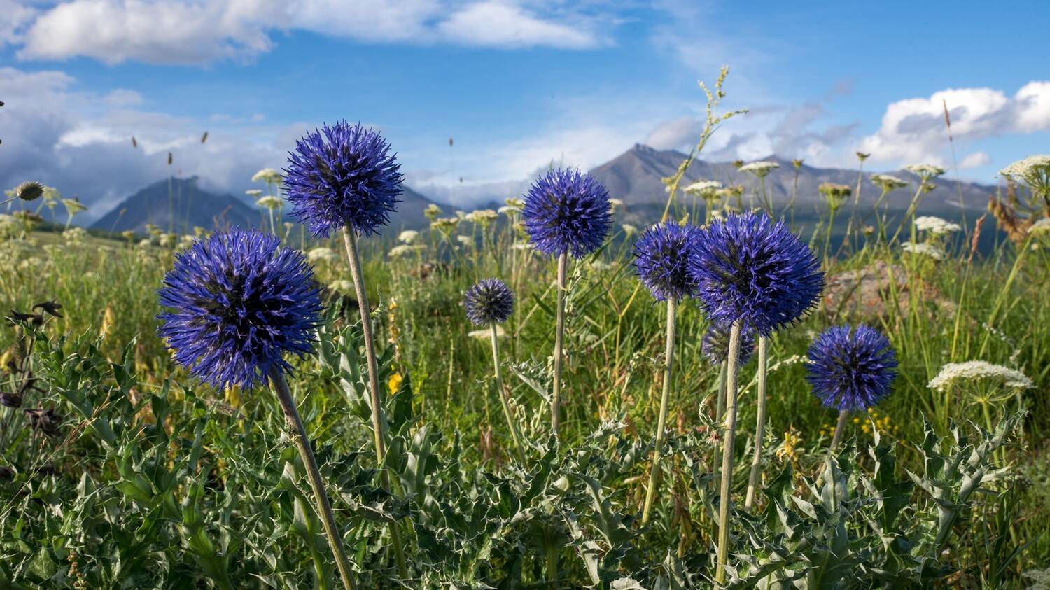 монголия, горы, лето, облака,, Юрий Мальцев