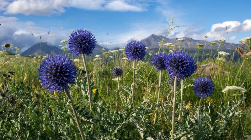 Синие шары фото превью