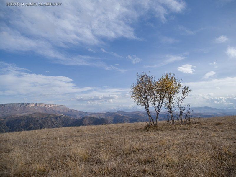 РОДНЫЕ ПРОСТОРЫ фото превью