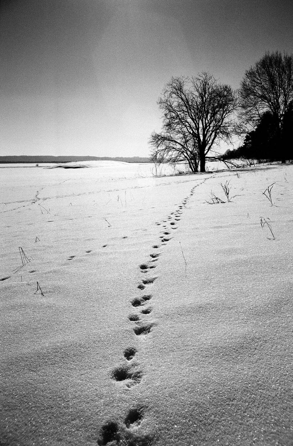 , Медведев Александр