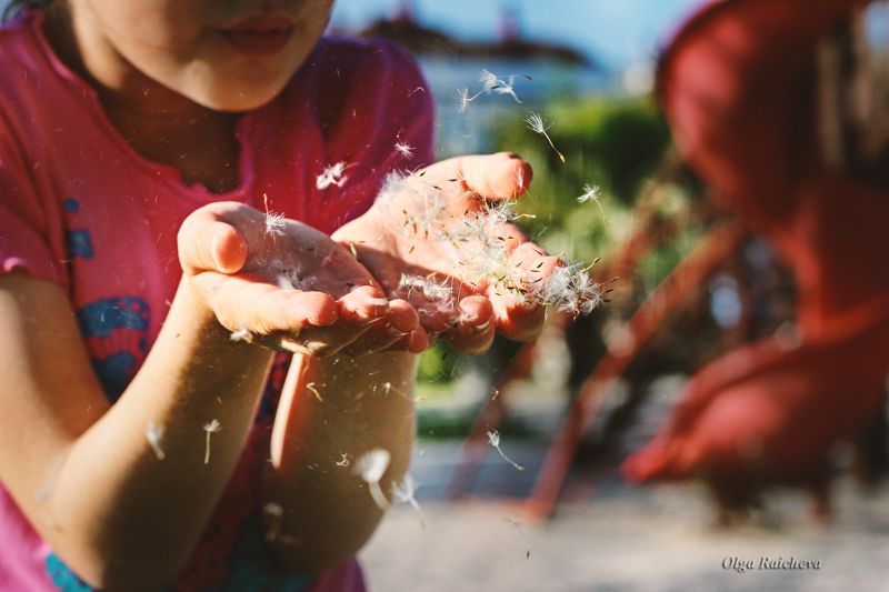 Чудеса-чудесные! The Wonders =)) фото превью