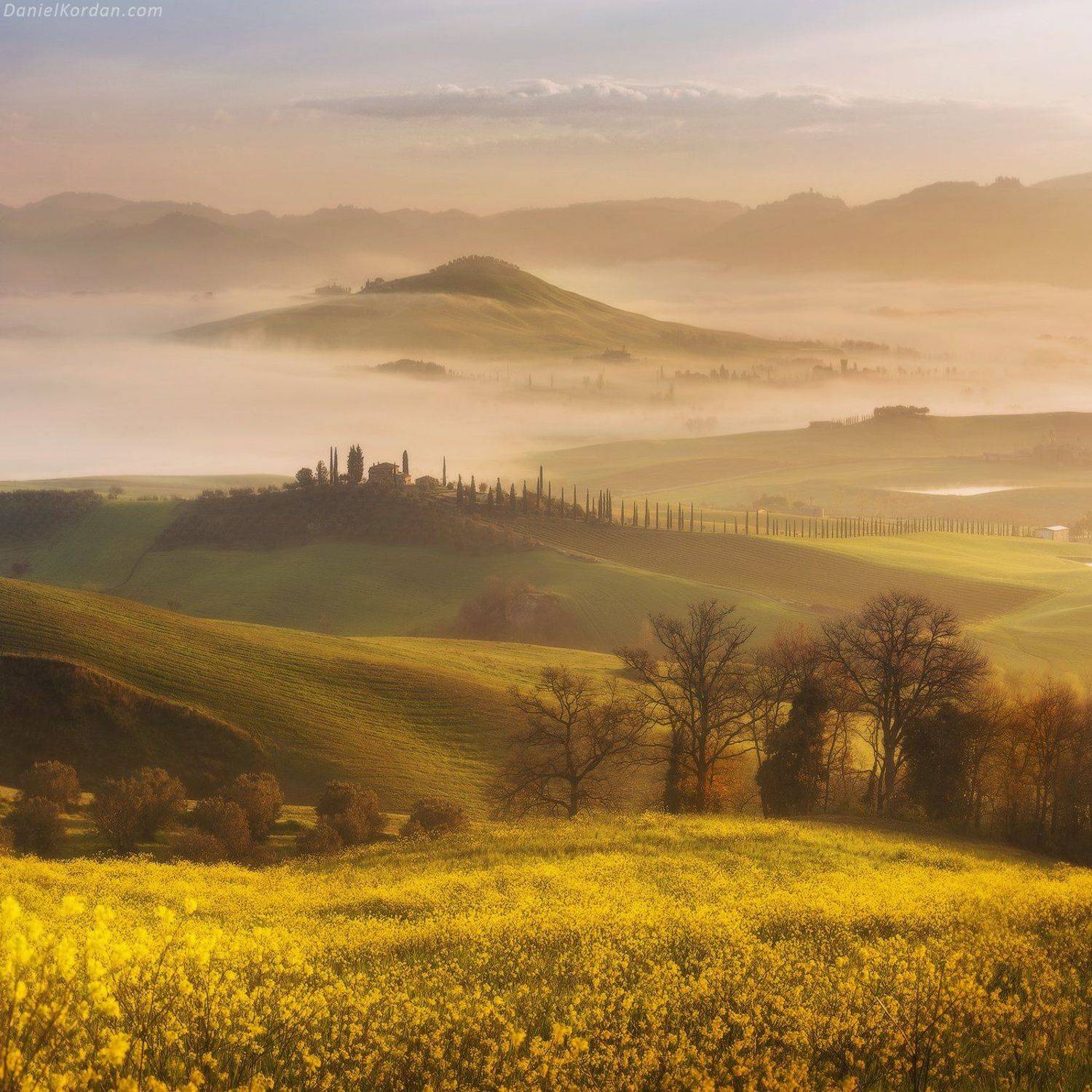 тоскана, Даниил Коржонов