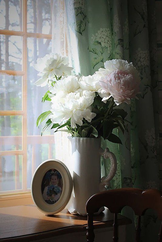 пионы фото превью