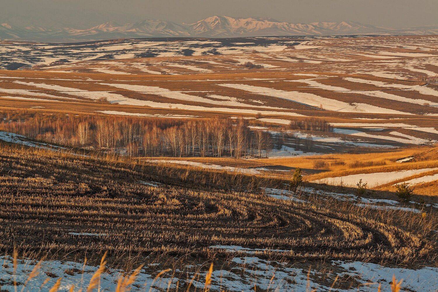 Altai, Siberia, Алтай, Весна, Март, Предгорья, Сибирь, Павел Филатов