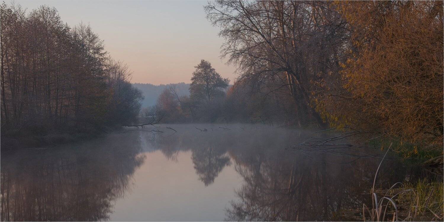 , Николай Шахманцир
