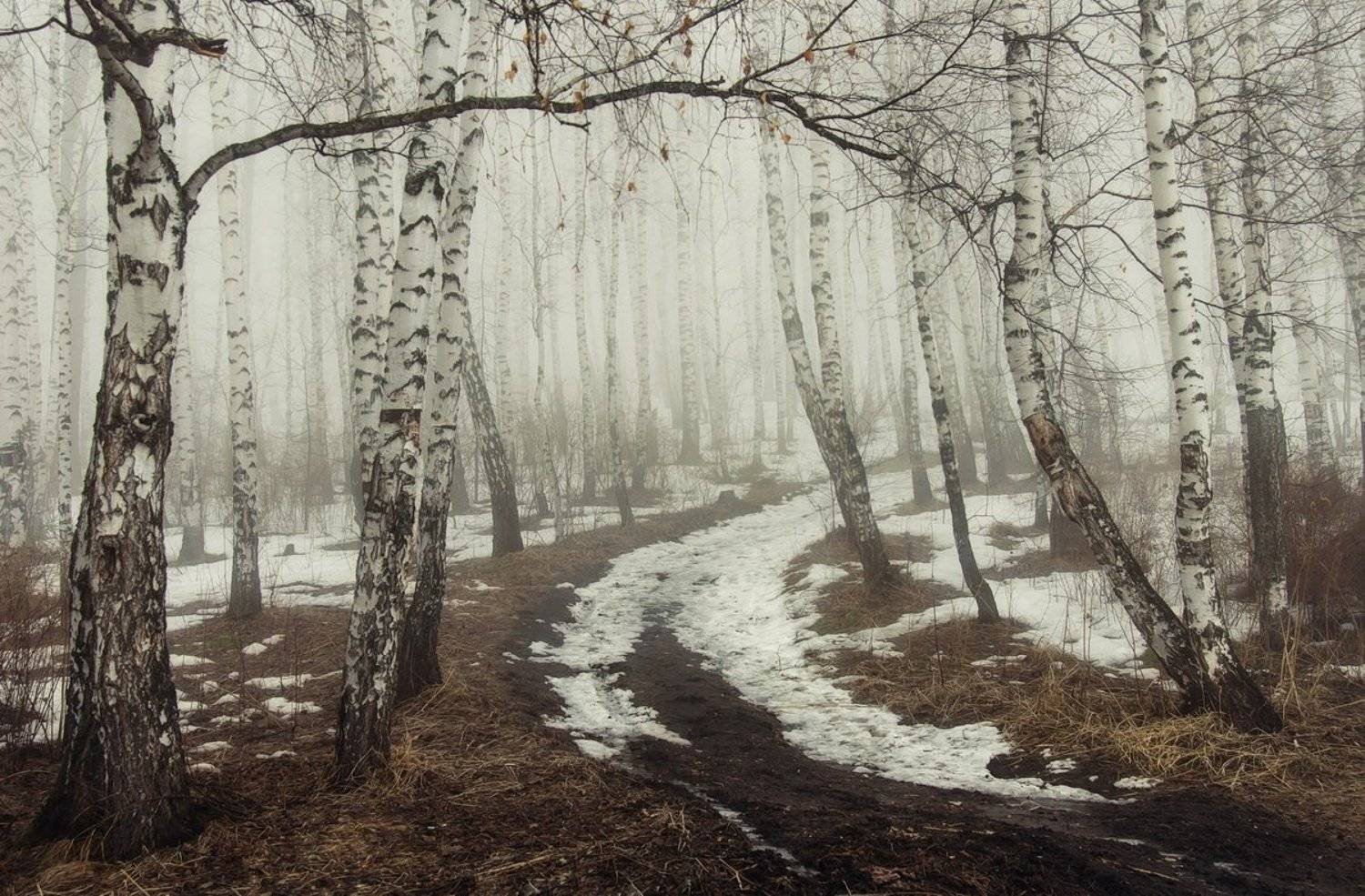 , Марина Фомина