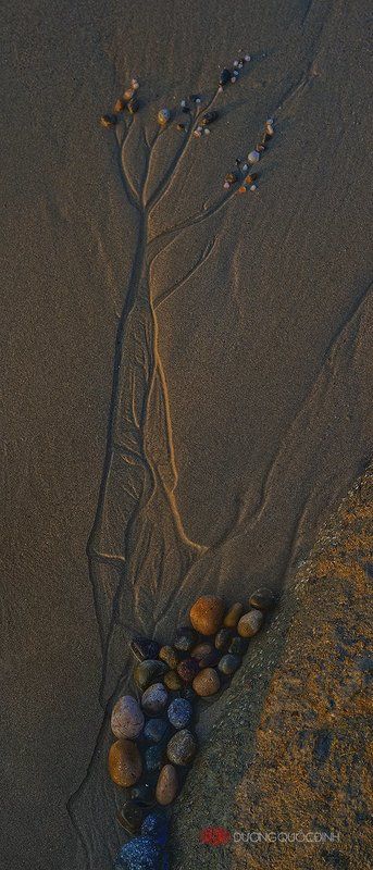 Notion фото превью