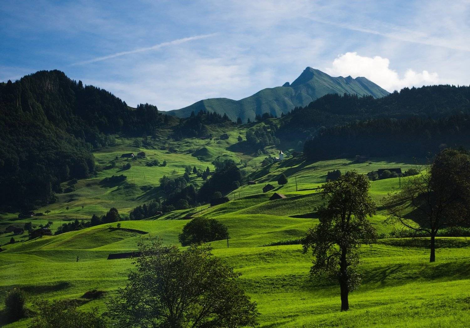 горы альпы швейцария mountains alps switzerland meadow, Дмитрий