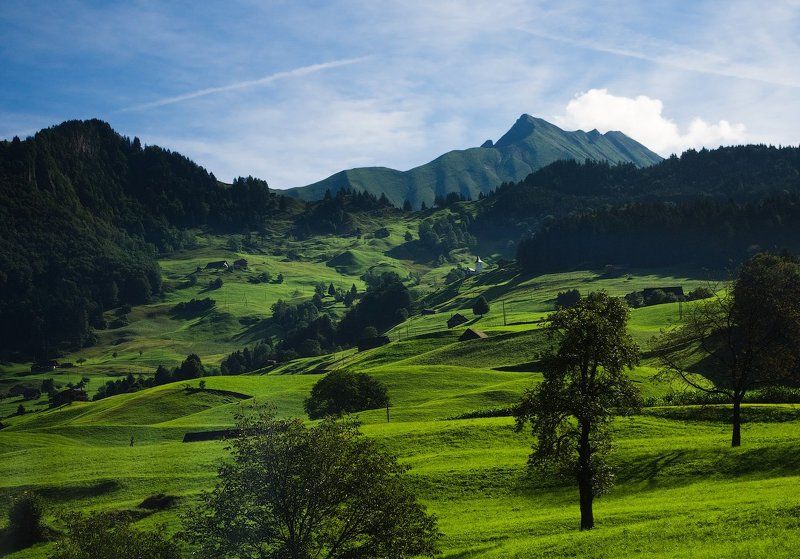 горы альпы швейцария mountains alps switzerland meadow Альпийские луга фото превью