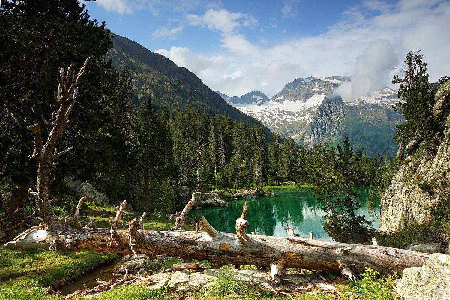 , Петр Косых