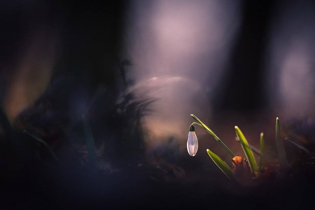 , Вячеслав Мищенко