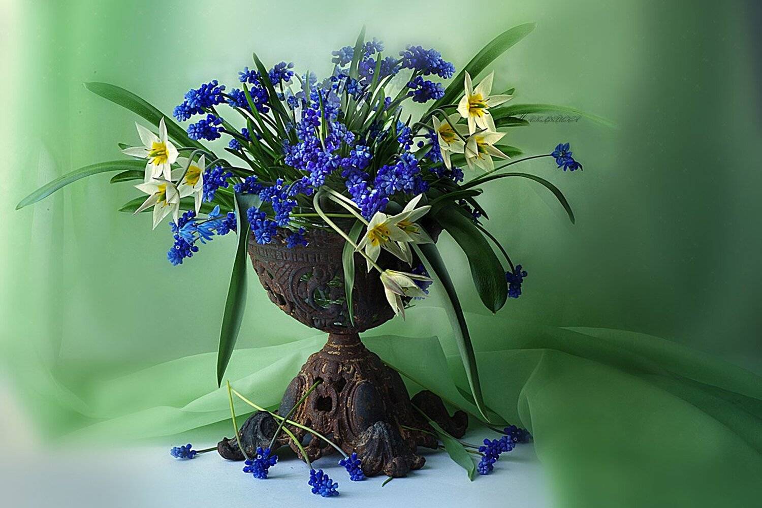 Весна, Мускари, Натюрморт с цветами, Тюльпаны, Вера Павлухина