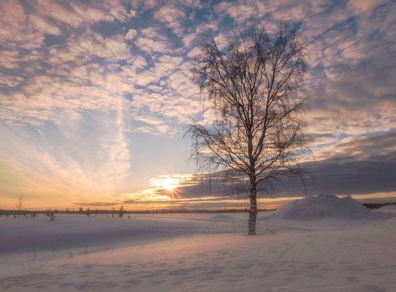 Весна, Закат, Коми, Печора, Север, Игорь Подобаев