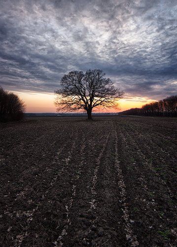 Мартовское одиночество