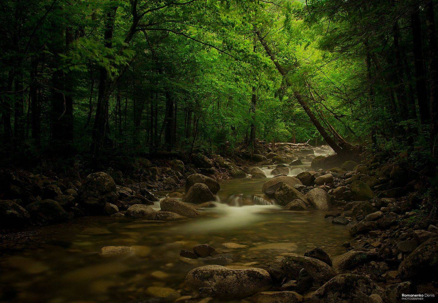 , Романенко Денис