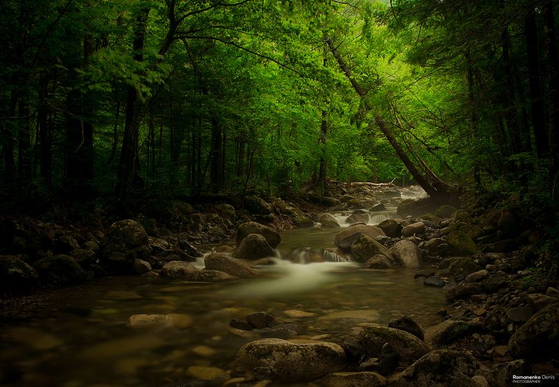 *** фото превью