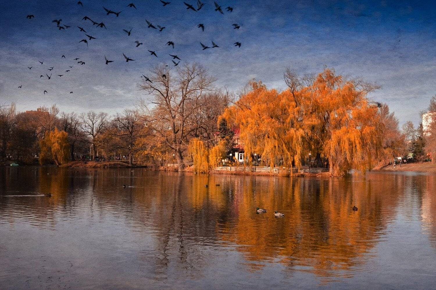 , Юлия Густерина