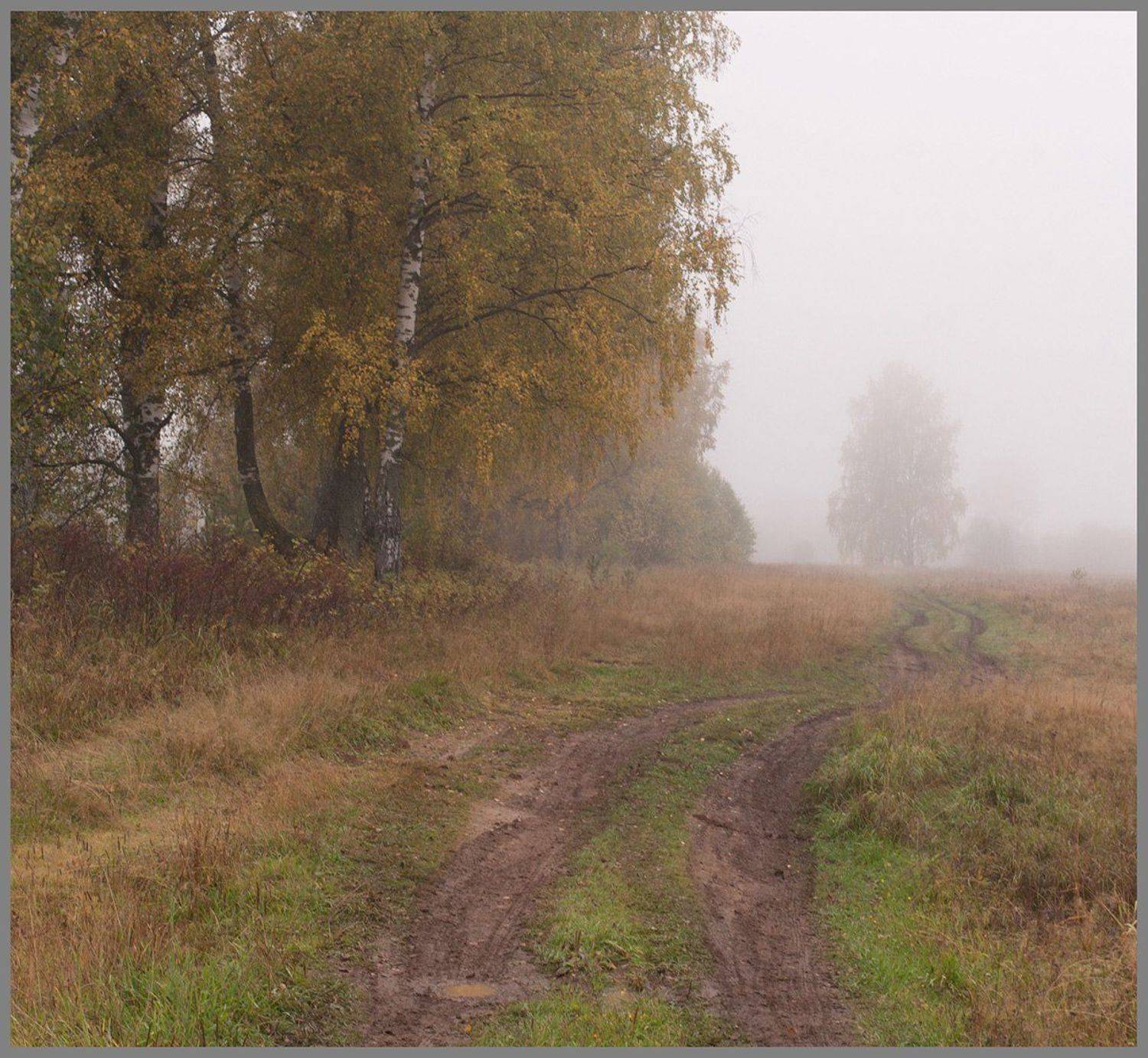 , Поташев Александр