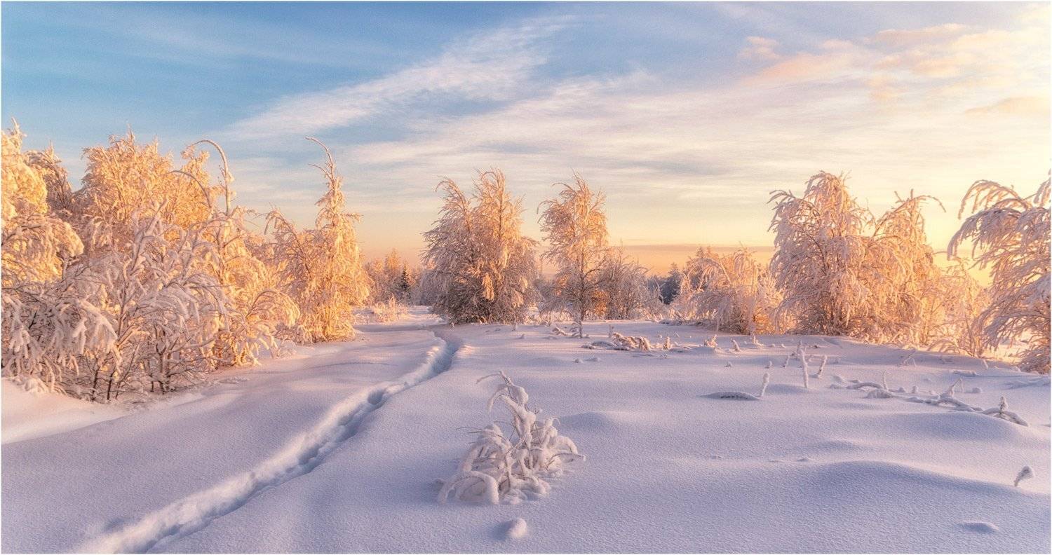 Природа, Салехард, Сибирь, Ямал, Ямало-ненецкий автономный округ, Евгений