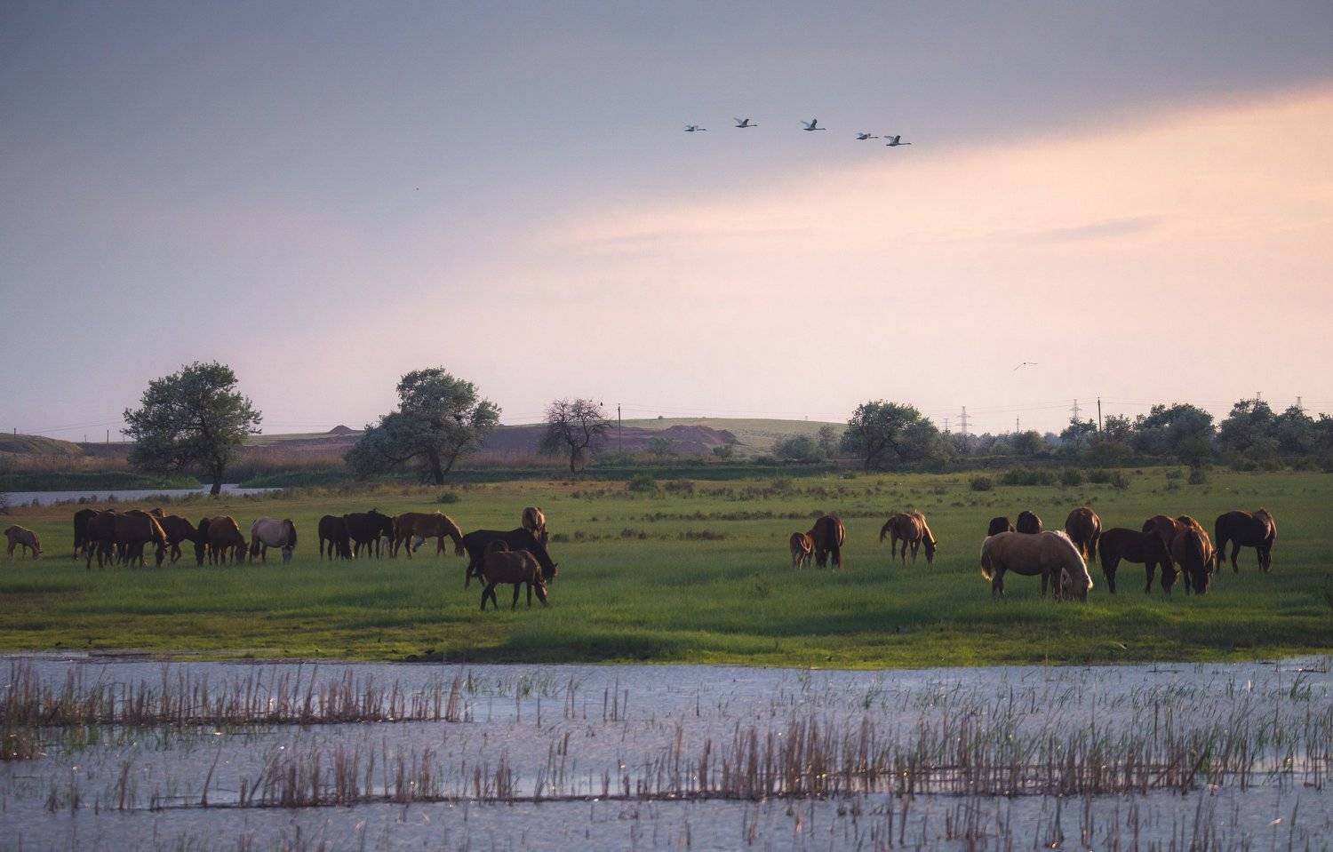 , Колоколов Олег