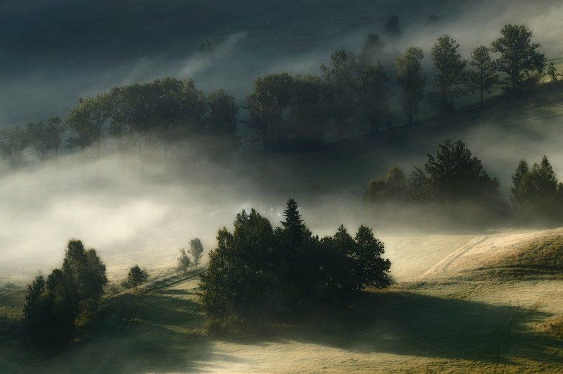 Misty Morning фото превью