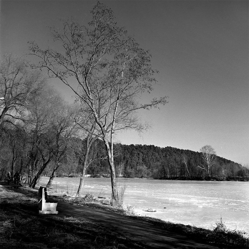 Весна., Парк., Река. \