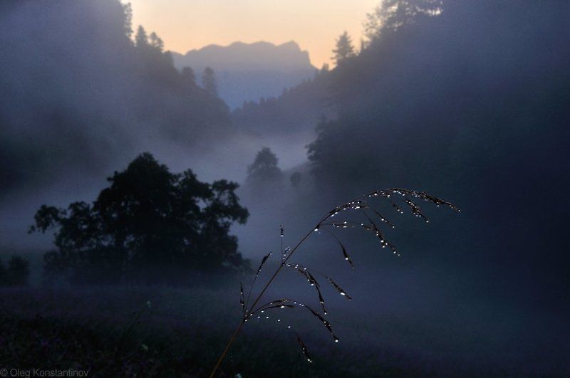 Morning\'s Silver фото превью